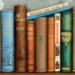 Insect Ways On Summer Days: Limited Edition