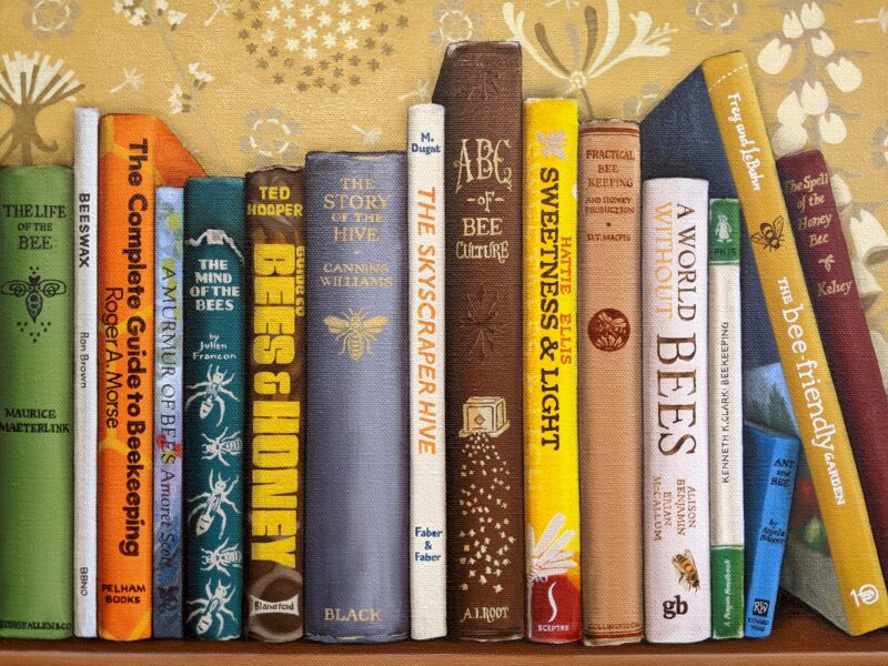 ABC of Bees: Limited Edition