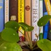 ABC of Bees: Limited Edition - Image 5